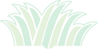 logo marche vert fleuriste